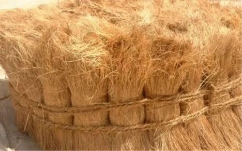 Coir Fibre 2